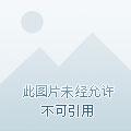 兰香如故
