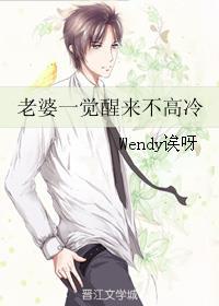 老婆一觉醒来不高冷TXT