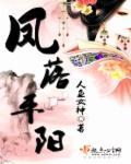 凤落平阳by南风歌介绍