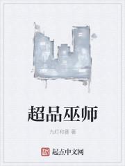 超品巫师无错