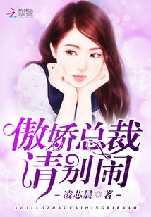 傲娇总裁请自重