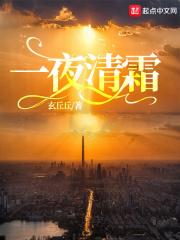 一夜清霜入镜中